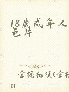 18岁成年人黄色片