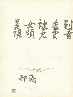 美女被爽到高潮视频免费看