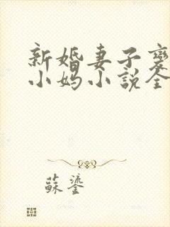 新婚妻子变成了小妈小说全文阅读