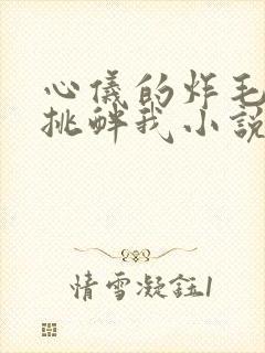 心仪的炸毛校霸挑衅我小说在线阅读