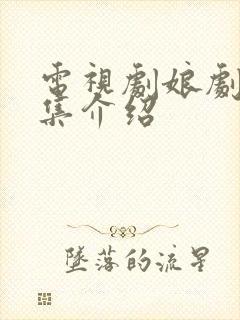 电视剧娘剧情分集介绍封面