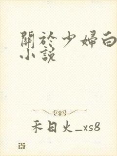 关于少妇白洁的小说