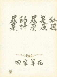 尿的尿是红色的是什么原因