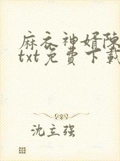 麻衣神婿陈黄皮txt免费下载