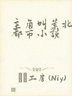 主角叫叶北辰的都市小说