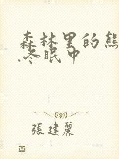 森林里的熊先生.冬眠中