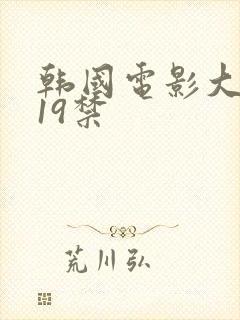 韩国电影大尺度19禁封面