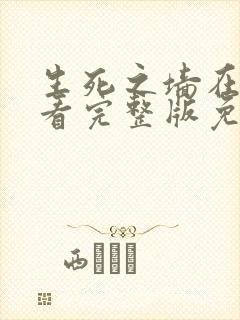 生死之墙在线观看完整版免费封面