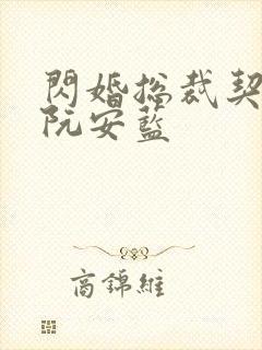 闪婚总裁契约妻阮安蓝