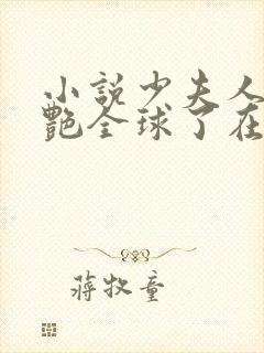 小说少夫人她惊艳全球了在线阅读