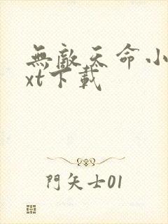 无敌天命小说txt下载