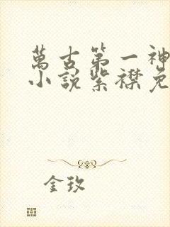 万古第一神有声小说紫襟免费