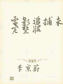 电影追捕未删减完整版