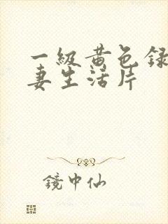 一级黄色录像夫妻生活片