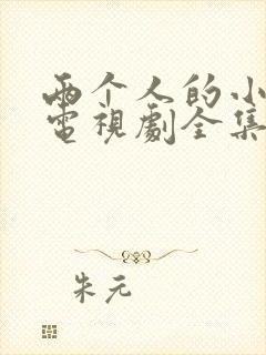 两个人的小森林电视剧全集免费播放