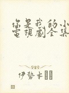 你是我的小确幸电视剧全集免费观看高清