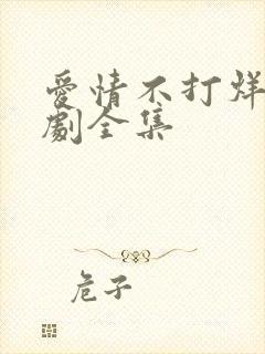 爱情不打烊连续剧全集