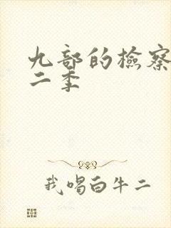 九部的检察官第二季