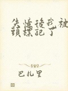 失忆后我被死对头标记了