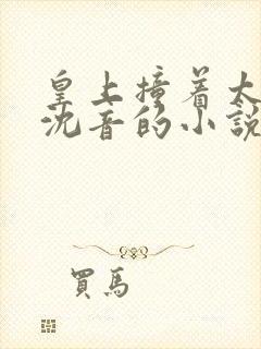 皇上撞着太子妃沈音的小说叫什么