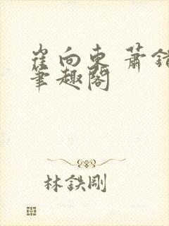 崔向东 萧错 笔趣阁