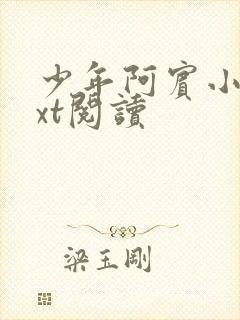 少年阿宾小说txt阅读