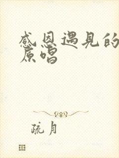 感恩遇见的歌曲原唱封面