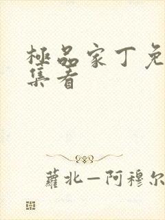 极品家丁免费全集看封面