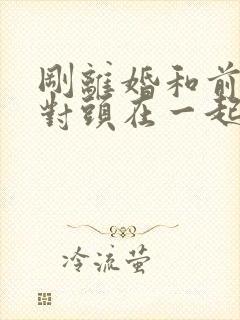 刚离婚和前妻死对头在一起小说叫什么