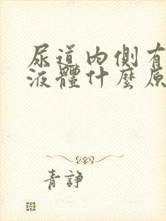 尿道内侧有黄色液体什么原因