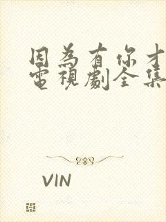 因为有你才有家电视剧全集免费播放在线观看