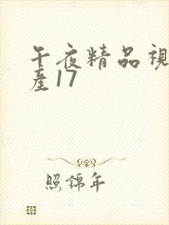午夜精品视频国产17