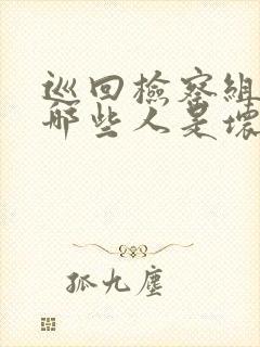 巡回检察组里面哪些人是坏人