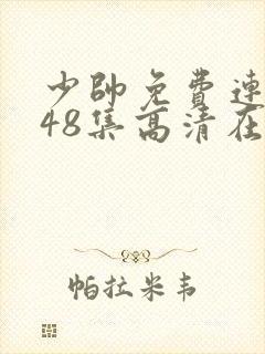 少帅免费连续剧48集高清在线观看