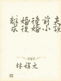 离婚后前夫哭着求复婚小说完整版本