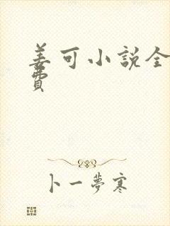 姜可小说全文免费封面