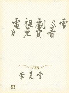 电视剧《雪迷宫》免费看