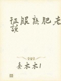 征服熟肥老妇小说