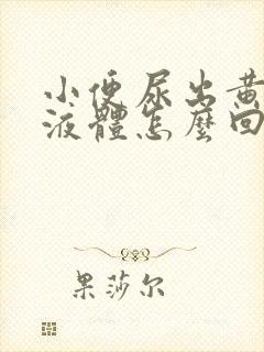 小便尿出黄粘稠液体怎么回事封面