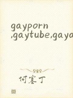 gayporn,gaytube,gayasian…封面