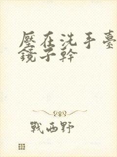 压在洗手台看着镜子干封面