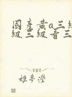 国产黄a三级三级三级看三级电影