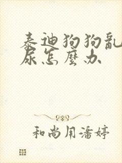 泰迪狗狗乱拉乱尿怎么办