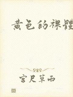 黄色的裸体视频封面