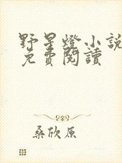 野星灯小说全文免费阅读封面