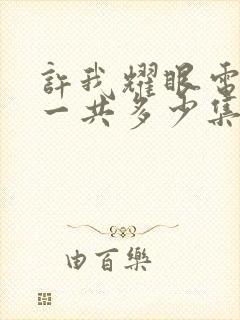 许我耀眼电视剧一共多少集封面