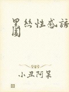 黑丝性感诱惑套图