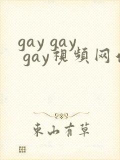 gay gay gay视频网站在线观看封面