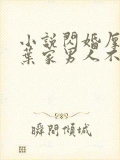 小说闪婚厚爱:叶家男人不离婚下载封面