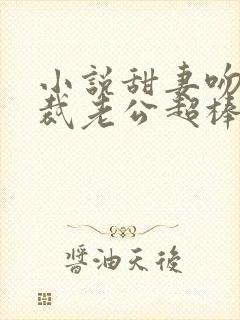 小说甜妻吻安总裁老公超棒的封面